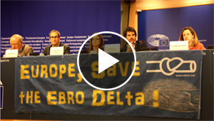 Los eurodiputados españoles que apoyaron a la plataforma del Delta de l'Ebre en Bruselas.